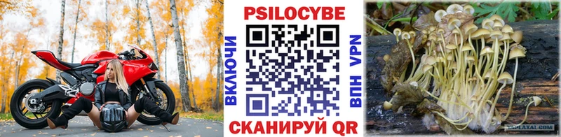 как найти наркотики Красногорск Галлюциногенные грибы прущие грибы